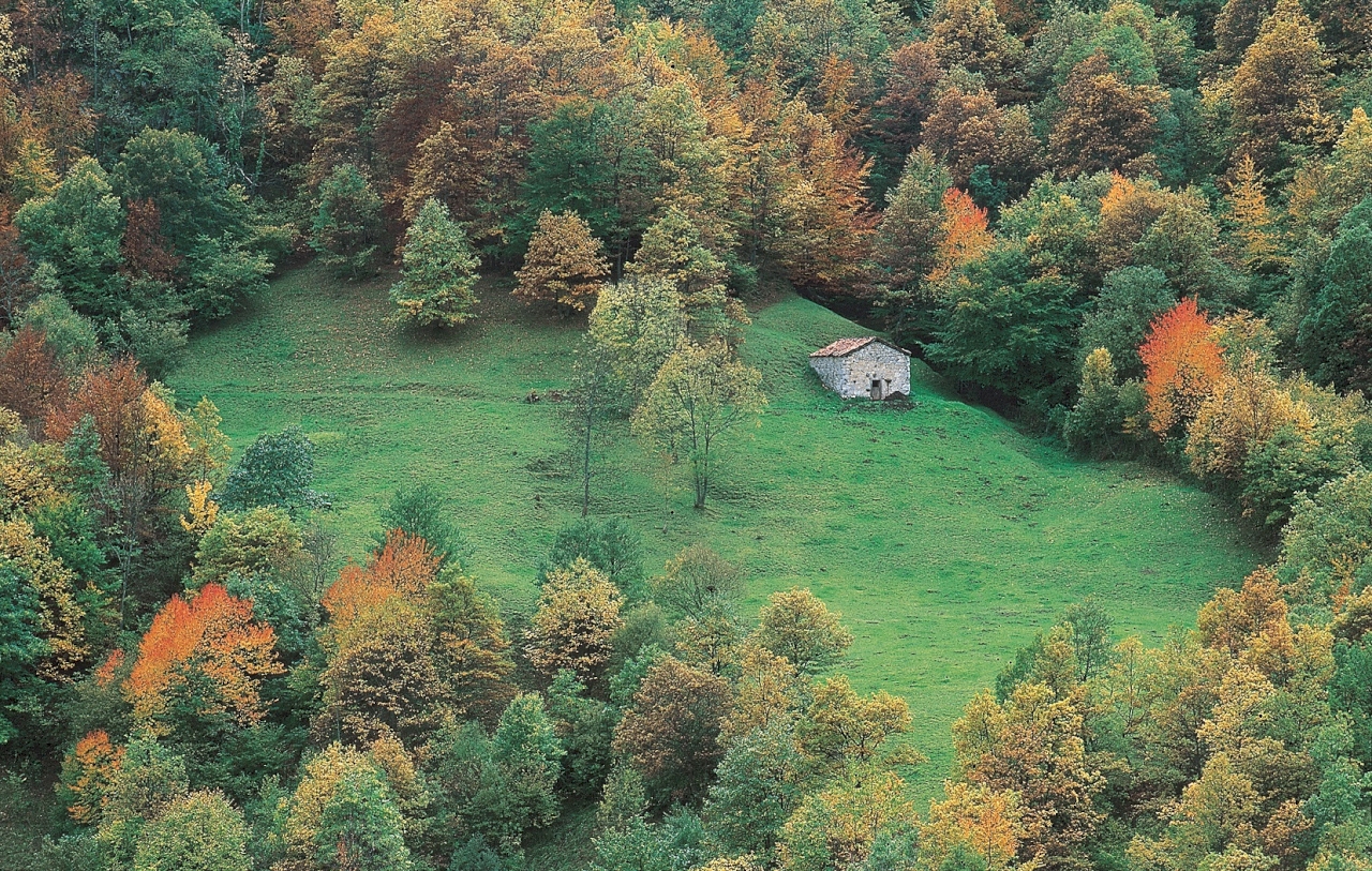 Parque Natural de las Ubiñas-La Mesa