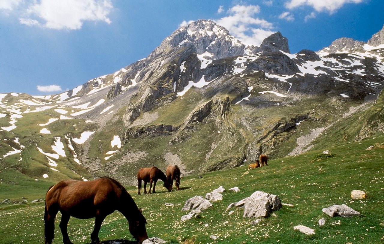 Parque Natural de las Ubiñas-La Mesa