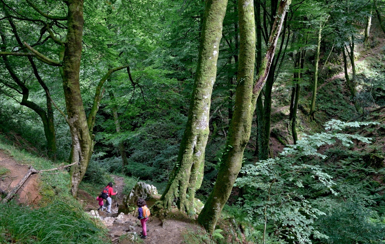 Sierra del Sueve