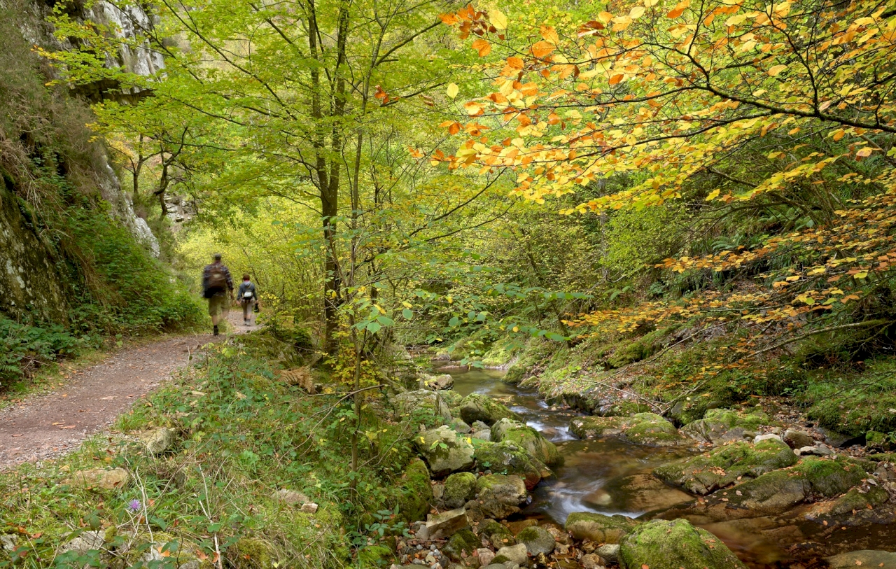 Parque Natural de Redes